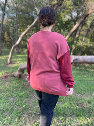 Scottie Two Tone Sweatshirt in Three Colors