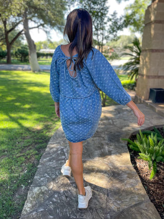 Alexa Denim Dress