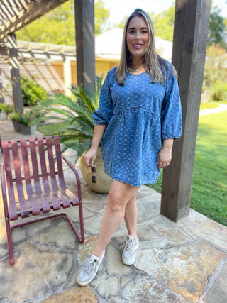 Alexa Denim Dress
