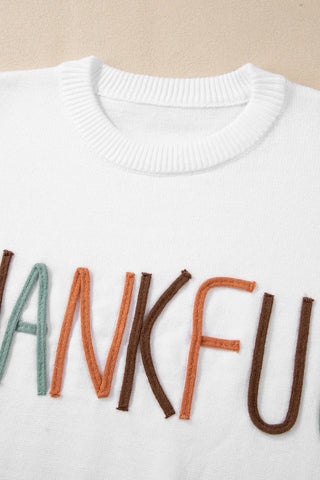 THANKFUL Cozy Long Sleeve Knit Top