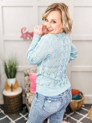 Hole In One Sheer Pointelle Knit Sweater