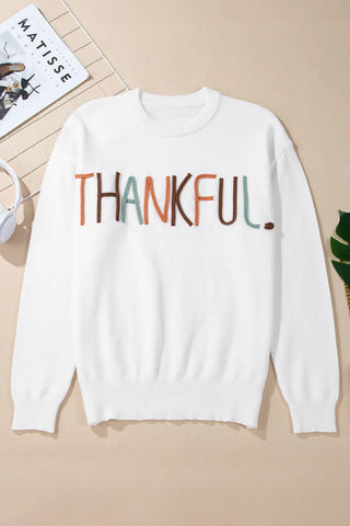 THANKFUL Cozy Long Sleeve Knit Top