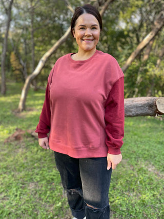 Scottie Two Tone Sweatshirt in Three Colors
